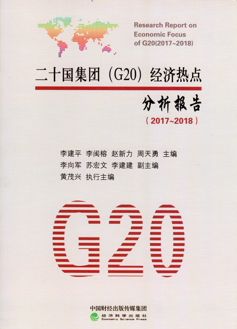 鸡鸡干小妹子二十国集团（G20）经济热点分析报告（2017-2018）